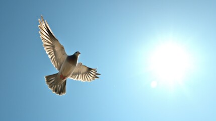 Obraz premium Conceptual image of a bird in flight against a clear blue sky, illustrating freedom and nature