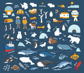 Polar animals collection, cute birds, fish and marine mammals. Arctic wild animals and polar stations set. Vector illustration