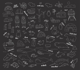 Polar animals collection, cute birds, fish and marine mammals. Arctic wild animals and polar stations set. Vector illustration