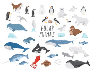 Polar animals collection, cute birds, fish and marine mammals. Arctic wild animals set. Vector illustration