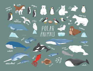 Polar animals collection, cute birds, fish and marine mammals. Arctic wild animals set. Vector illustration