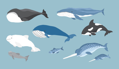 Fototapeta premium Polar animals collection, cute birds, fish and marine mammals. Arctic wild animals set. Vector illustration