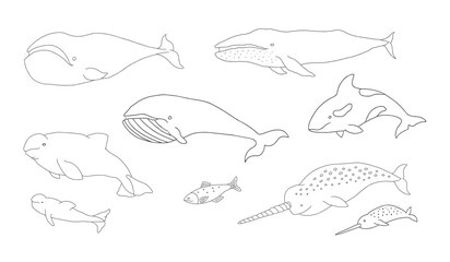 Polar animals collection, cute birds, fish and marine mammals. Arctic wild animals set. Vector illustration