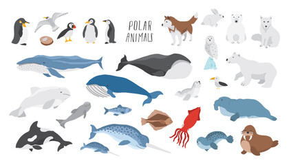 Polar animals collection, cute birds, fish and marine mammals. Arctic wild animals set. Vector illustration