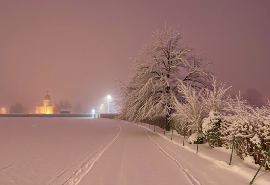 Snow covered tree, christmas winter