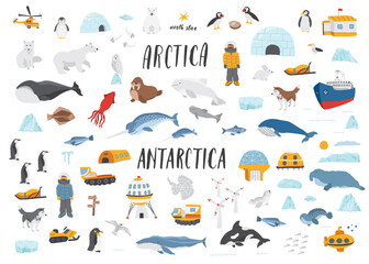 Polar animals collection, cute birds, fish and marine mammals. Arctic wild animals and polar stations set. Vector illustration