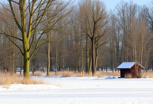 Snow covered tree, winter, christmas