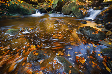 Bach im bayerischen Wald