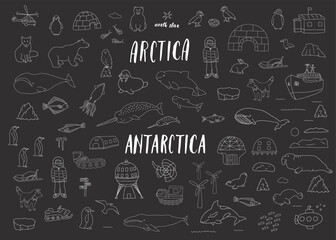 Polar animals collection, cute birds, fish and marine mammals. Arctic wild animals and polar stations set. Vector illustration