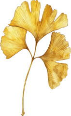 Naklejka premium Golden Ginkgo Leaf