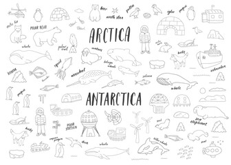 Polar animals collection, cute birds, fish and marine mammals. Arctic wild animals and polar stations set. Vector illustration © saint_antonio