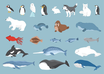 Polar animals collection, cute birds, fish and marine mammals. Arctic wild animals set. Vector illustration