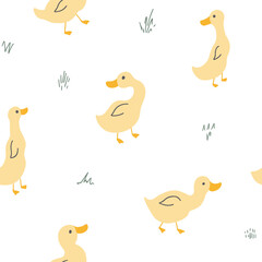 Ducks_patterns_2024_v2.eps