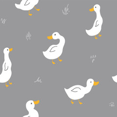 Ducks_patterns_2024_v7.eps