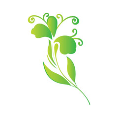 colorful Leaf and floral pattern with branches