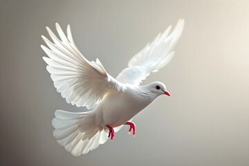 Obraz premium A white bird flying through the air