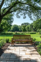 Empty bench sitting under a tree casting sunbeams in a garden