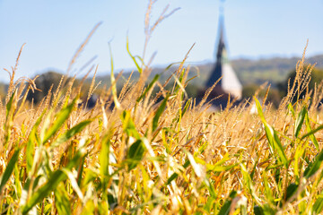 Panorama of a landscape with hills and village where the church spire protrudes