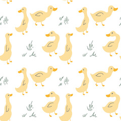 Cute Cartoon Duck Seamless Pattern, Vector Illustration Background