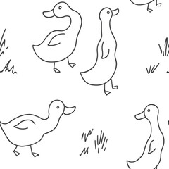 Cute Cartoon Duck Seamless Pattern, Vector Illustration Background