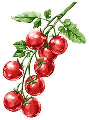 チェリー トマト、新鮮な野菜、おいしい料理用のハーブの水彩分離ベクトル イラスト、デザイン用のテンプレート、カラフルな野菜のグラフィック、鮮やかな食べ物のイラスト、料理のアートワーク、