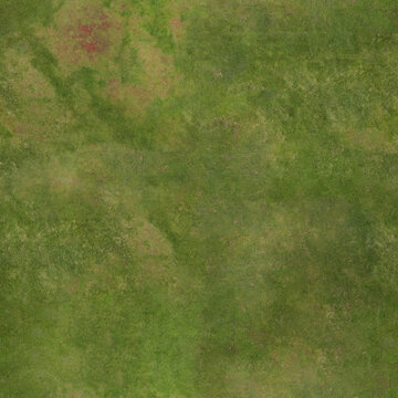 green grass texture seamless