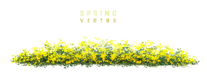  Vector watercolor blooming flower tree or forest side view isolated on white background for landscape and architecture drawing,elements for environment or and garden,green tree for garden section 