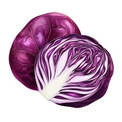 Fototapeta premium Two fresh red cabbages on a white isolate background.