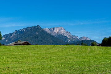 alpine meadow in the mountains