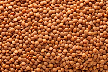Uncooked brown lentils grains background