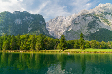 Trees reflecting in lake 