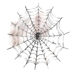 Obraz premium A spooky spiderweb