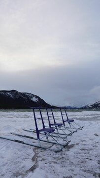 A few Traditional Scandianvian kicksled