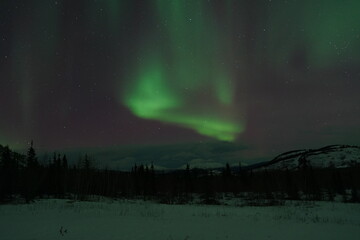 Northern Lights in Yukon Canada