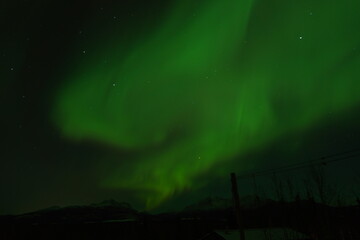 Northern Lights in Yukon Canada