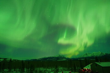 Fototapeta premium Northern Lights in Yukon Canada