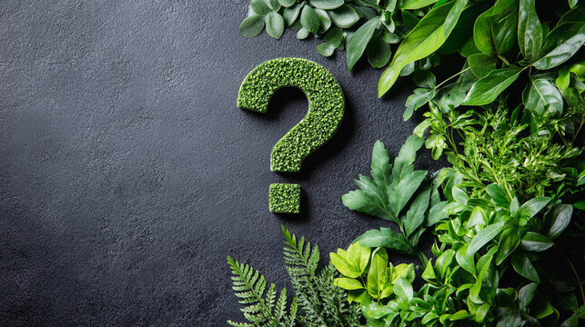 question mark symbol covered in lush green plants, symbolizing growth, curiosity, and the mysteries of nature. Represents the unknown, exploration, and the power of environmental inquiry - Powered by Adobe