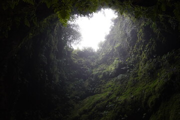 Inside volcano in the Terceira island