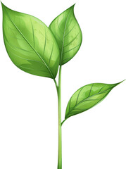 Green sprout on transparent background. PNG