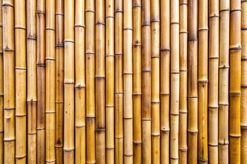 Fototapeta premium Texture of lined bamboo wall background panorama