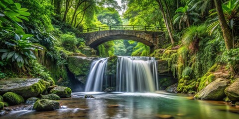Small waterfall flowing under a bridge in a lush tropical forest view from below