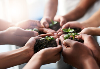 Hands, people and care with soil for plant growth of environment, earth day and teamwork goal of...