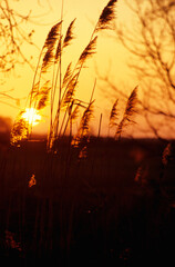 Obraz premium Goldener Herbst