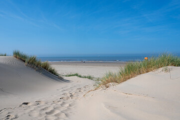 Dunes with beach grass and the sea