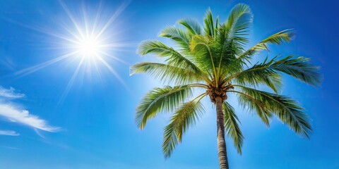 Obraz premium Palm tree with sun behind on blue sky