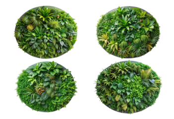 Set of round green garden wall panel from tropical plants png