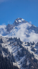 snow covered mountains in Almaty