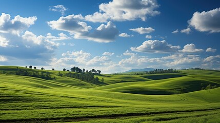 Obraz premium Rolling Green Hills Under a Blue Sky