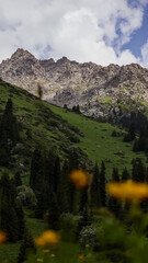 Mountain peaks in the summer 