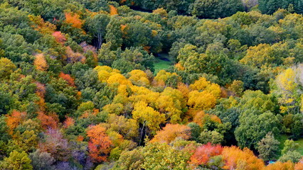 landscape autumn colors trees mountain field yellow red green ochre peace